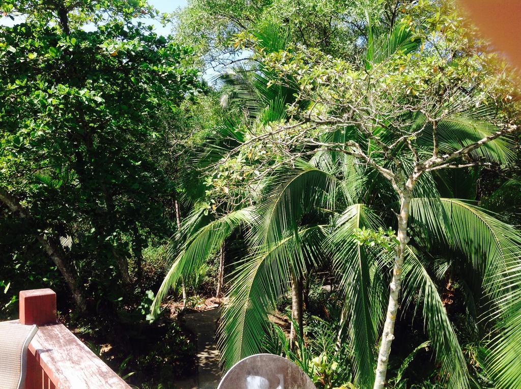 Casa Manglar Villa Puerto Jiménez Dış mekan fotoğraf