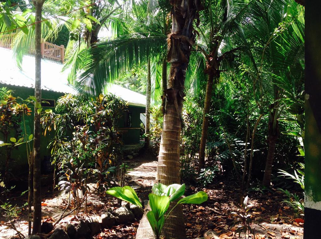 Casa Manglar Villa Puerto Jiménez Dış mekan fotoğraf