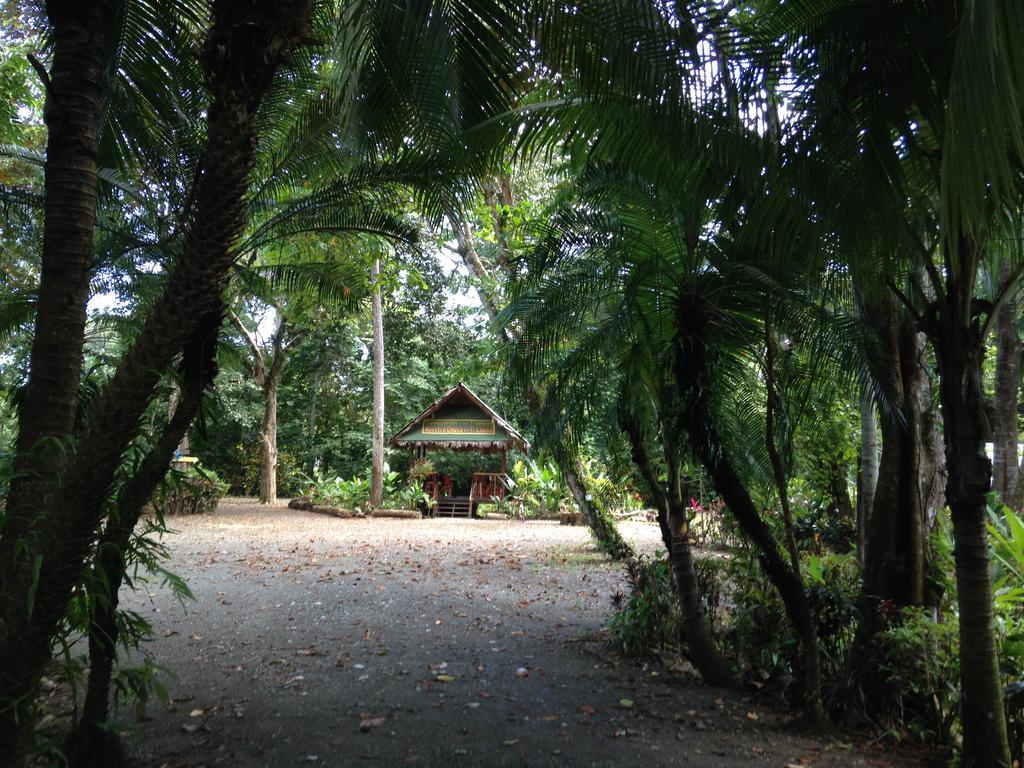 Casa Manglar Villa Puerto Jiménez Dış mekan fotoğraf